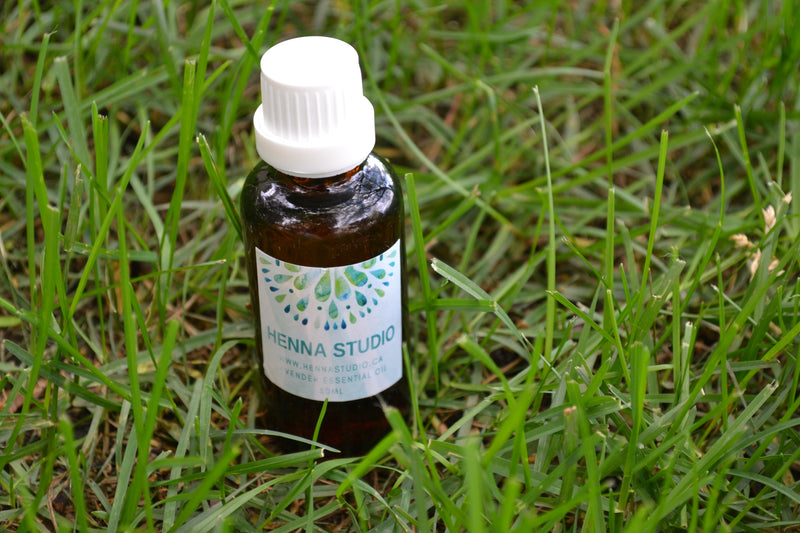 Cajeput Essential oil - 30ml